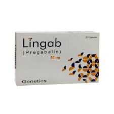 LINGAB